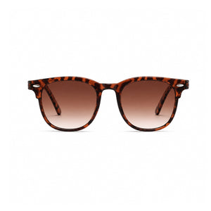 Savio Solbrille - Leopard